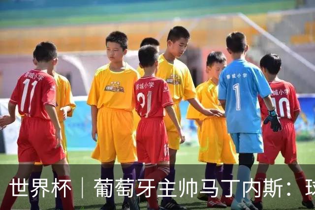 世界杯｜葡萄牙主帅马丁内斯：球队需要进球时换下C罗毫无道理
