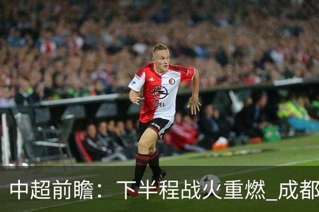 中超前瞻：下半程战火重燃 成都剑指三分申花求反弹