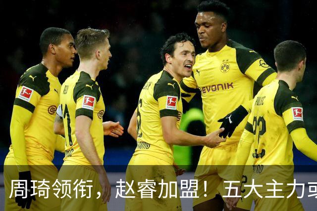周琦领衔，赵睿加盟！五大主力或助阵男篮，CBA得分王遗憾未能入选